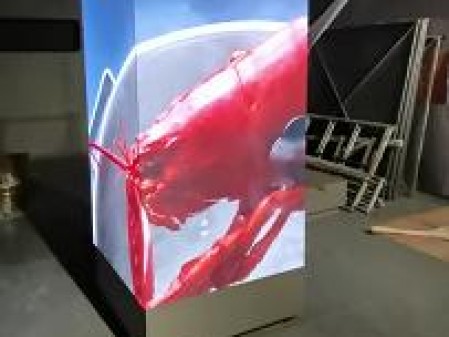潛江東西湖P2.0安裝完畢   尺寸：0.96x1.6x3   像素點(diǎn)：1440x800