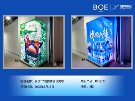 黃石武漢***城安裝調(diào)試完畢