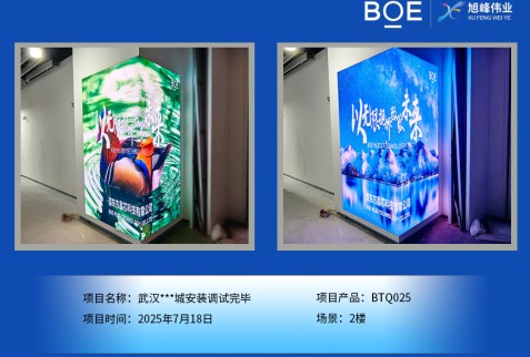 湖北武漢***城安裝調(diào)試完畢