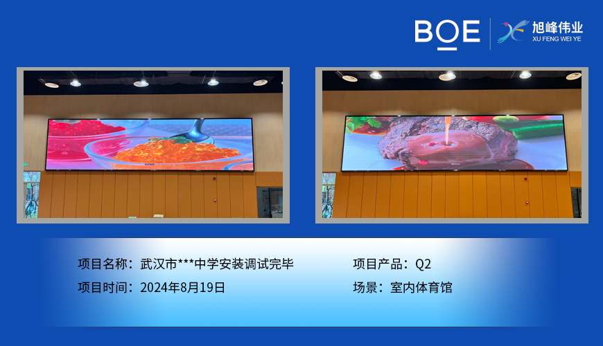 湖北武漢市***中學(xué)安裝調(diào)試完畢