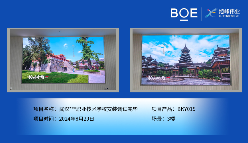 湖北武漢***職業(yè)技術(shù)學(xué)校安裝調(diào)試完畢
